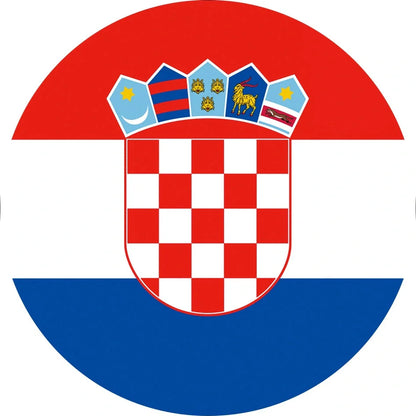 World Cup Qatar football themed biodegradable dishwashing sponges with national flag designs