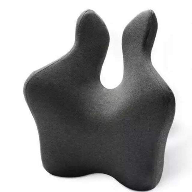 Bamboo charcoal memory foam lumbar support cushion for office and car seats