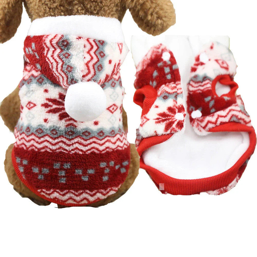 Cozy Canine Couture: Premium pet clothing collection featuring stylish and comfortable designs for your furry friend