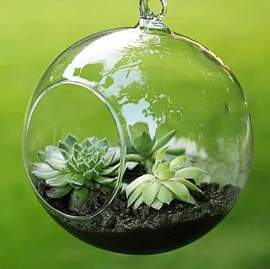 Transparent hand-blown glass vase container with flat bottom and hanging capability in four sizes