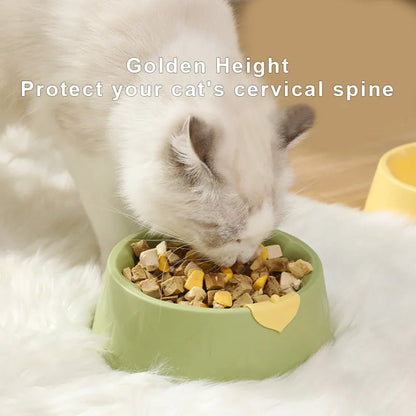 Green plastic double pet bowl with two compartments for food and water on a flat surface.