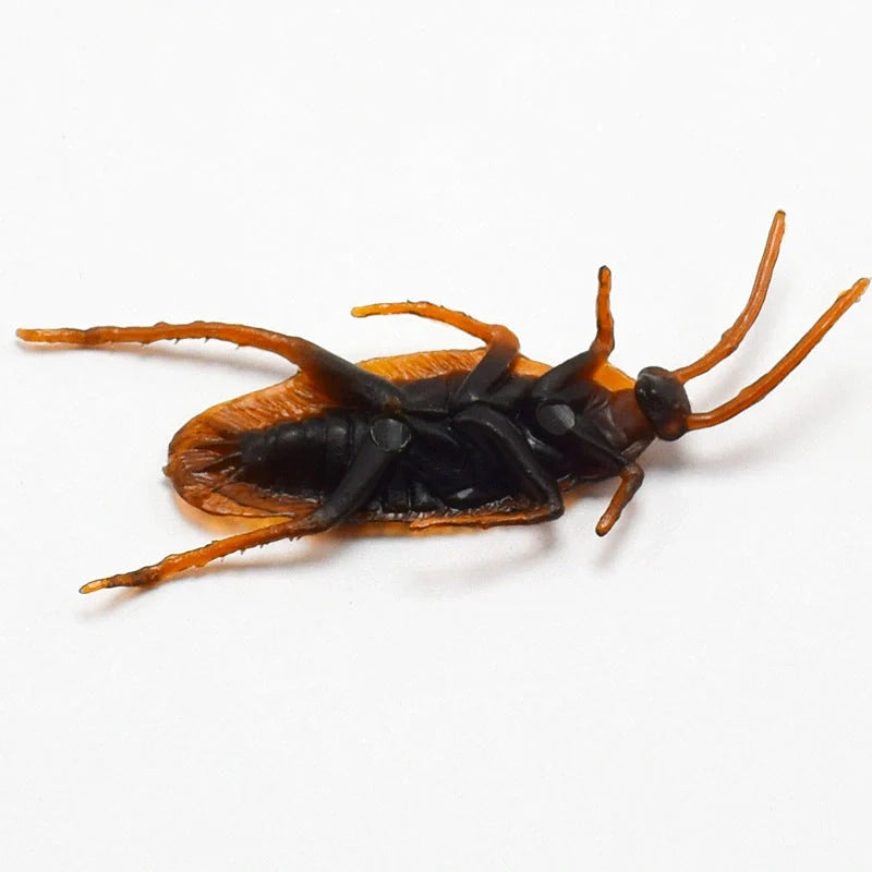 Realistic Halloween plastic cockroach prank toy, 7CM in length, brown color