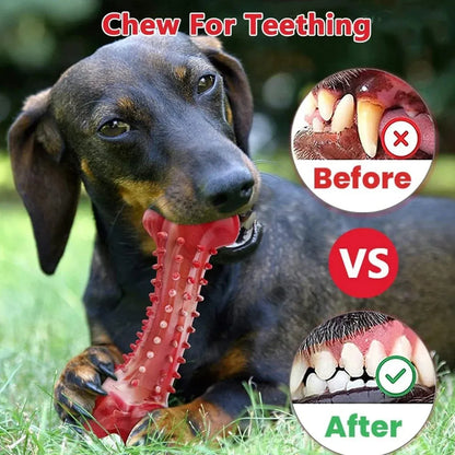 Natural rubber dog chew toy for aggressive chewers with chew bone design