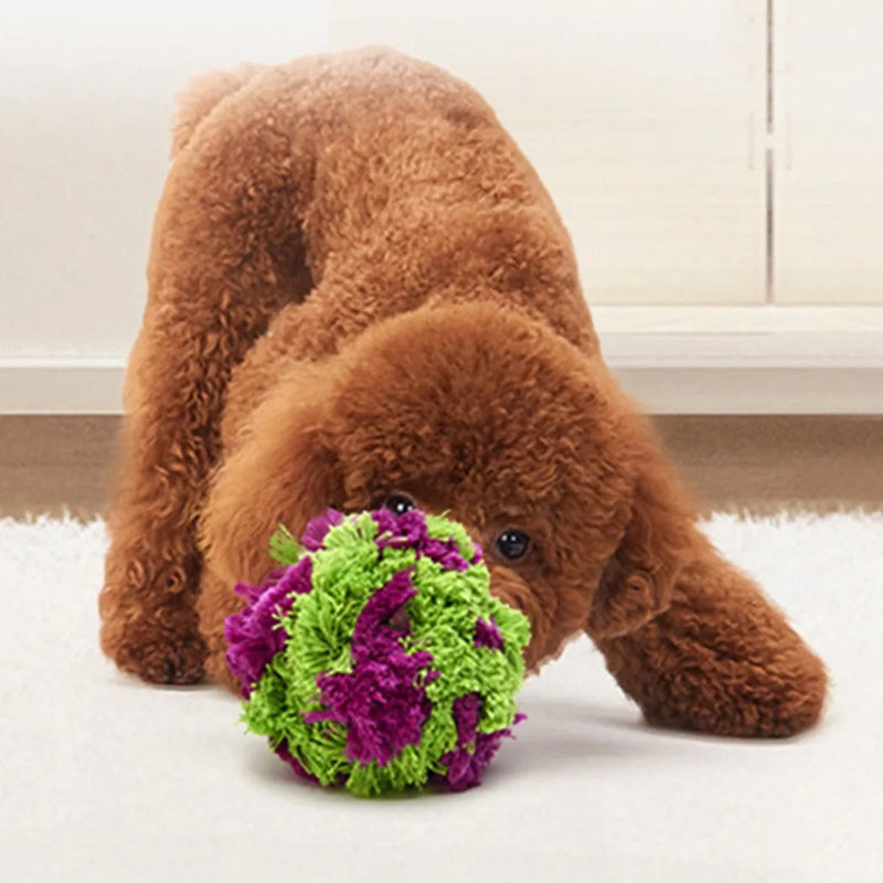 Dog chews and dental toy plush ball with seaweed filling for puppies and dogs 15 cm diameter, interactive tear-resistant bite-resistant ball for indoor fetch games and teething relief, purple colour pet supply