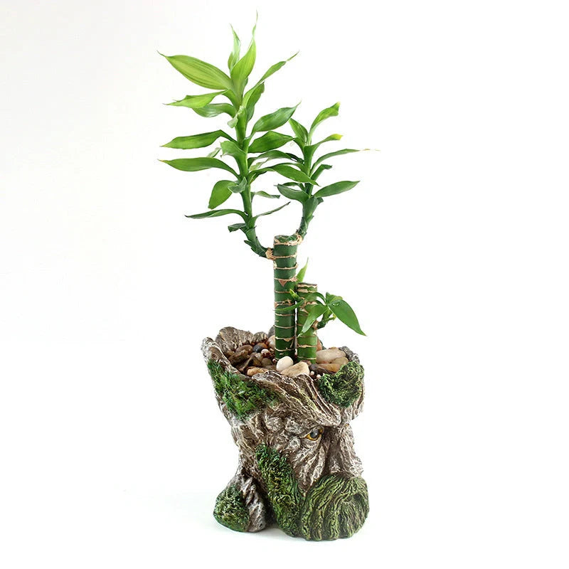 Strongwell Tree Head Old Man Flower Pot in green, resin planter for home decor