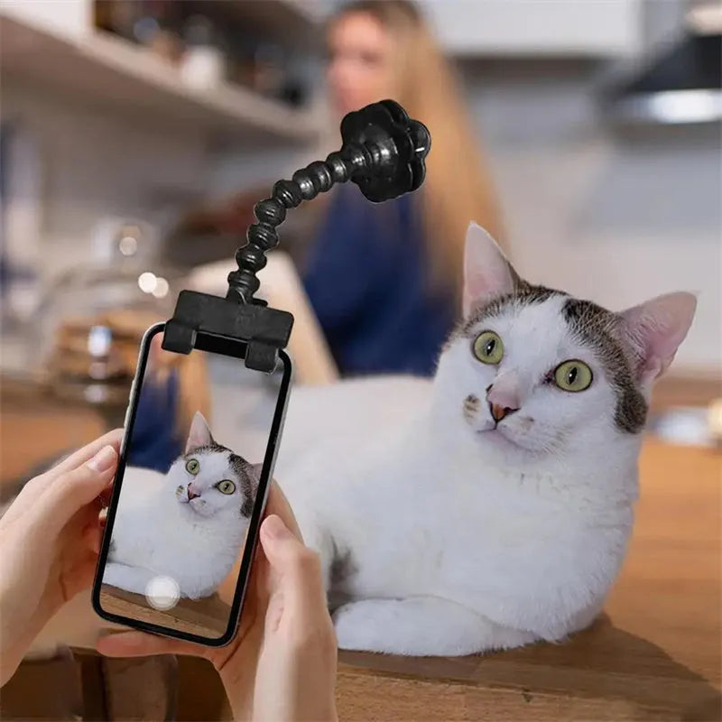 Black plastic pet photography tool attached to mobile phone with treat clip extended