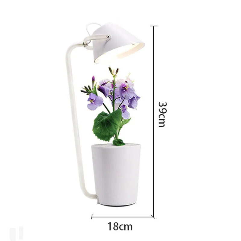 White plastic hydroponic container for desktop soilless plant cultivation with international size compliance