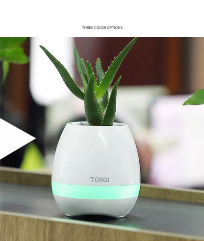 Touch-sensitive music vase desktop audio in pink, blue, or white