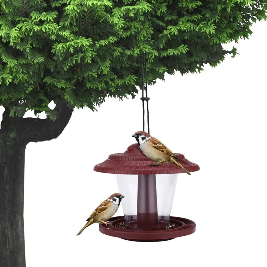 Hanging plastic transparent bird feeder, 18cm x 18cm x 19cm, shown in green or red.