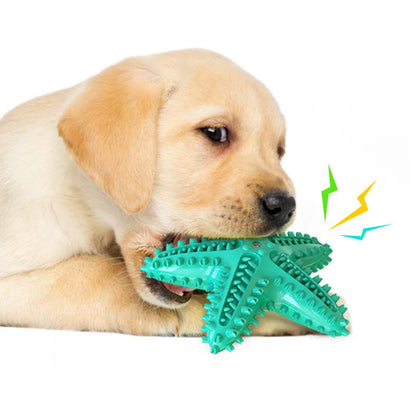 Starfish Vocal Pet Dog Toy Molar Stick in lake blue, yellow, and green for teeth cleaning