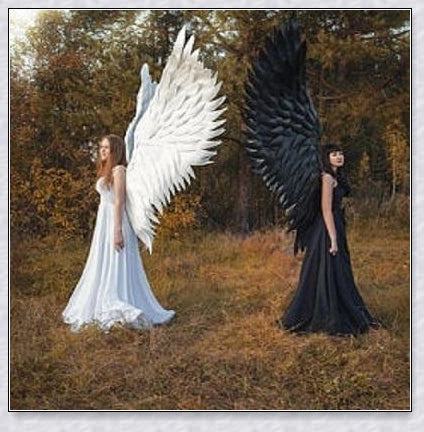 Pair of large, feathered wings in black and white colors, perfect for Halloween costumes and fantasy-themed events.