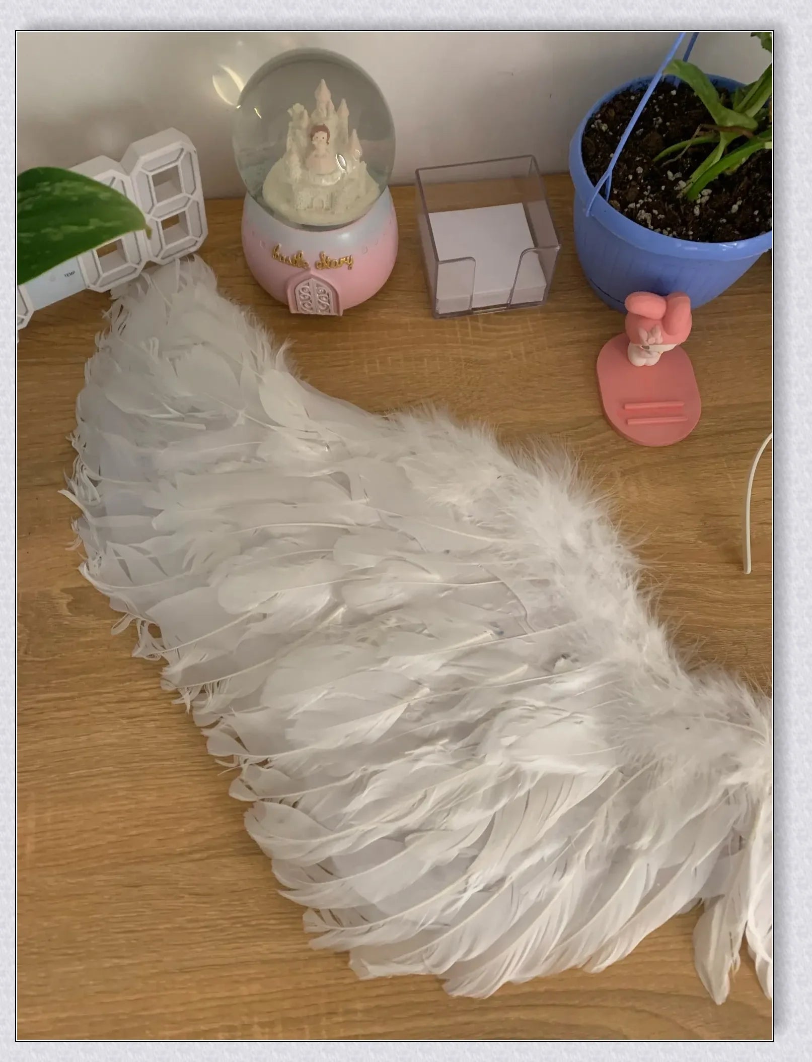 Pair of large, feathered wings in black and white colors, perfect for Halloween costumes and fantasy-themed events.