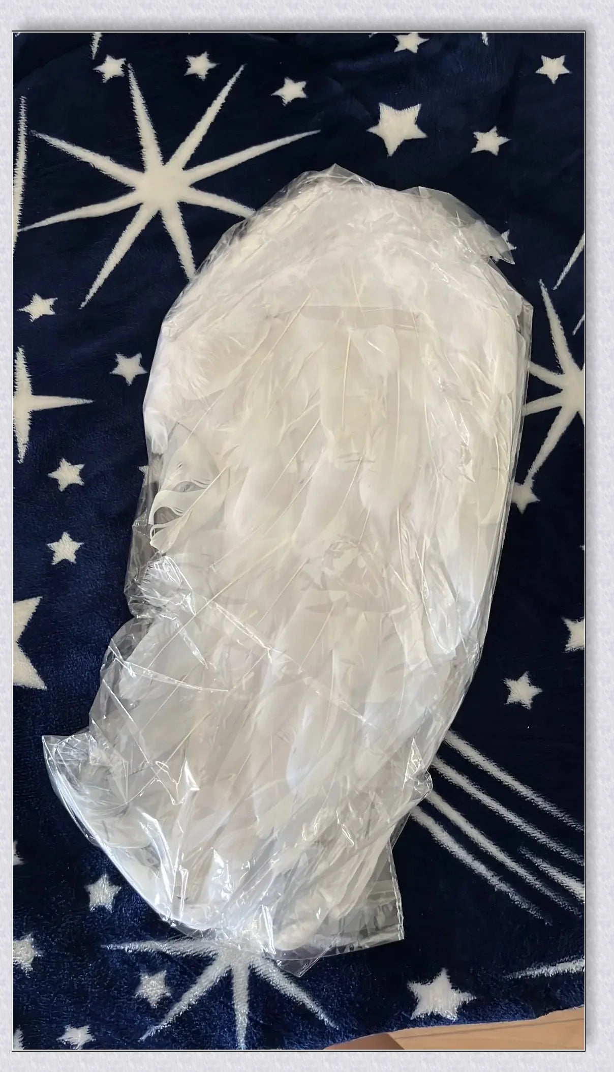 Pair of large, feathered wings in black and white colors, perfect for Halloween costumes and fantasy-themed events.