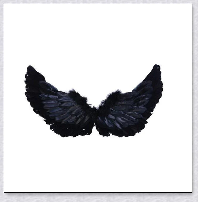 Pair of large, feathered wings in black and white colors, perfect for Halloween costumes and fantasy-themed events.
