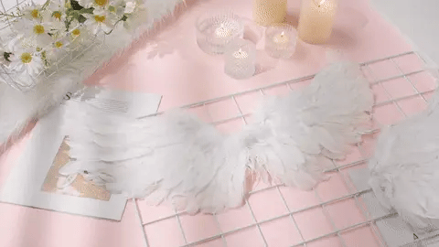 Pair of large, feathered wings in black and white colors, perfect for Halloween costumes and fantasy-themed events.