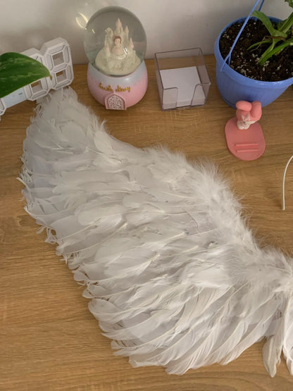 Pair of large, feathered wings in black and white colors, perfect for Halloween costumes and fantasy-themed events.