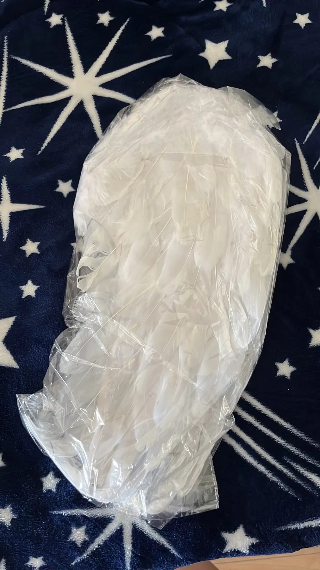 Pair of large, feathered wings in black and white colors, perfect for Halloween costumes and fantasy-themed events.