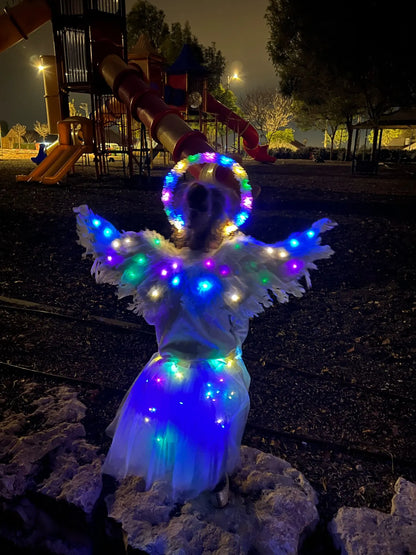Pair of large, feathered wings in black and white colors, perfect for Halloween costumes and fantasy-themed events.