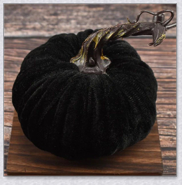 Punki Mini Velvet Halloween Pumpkins in various fall-inspired colors, including orange, burgundy, and navy blue