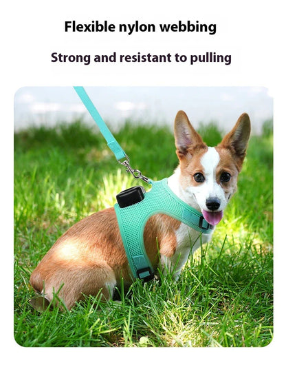 Cooling dog vest with air conditioner system, adjustable chest strap, and breathable nylon fabric design for comfortable outdoor use