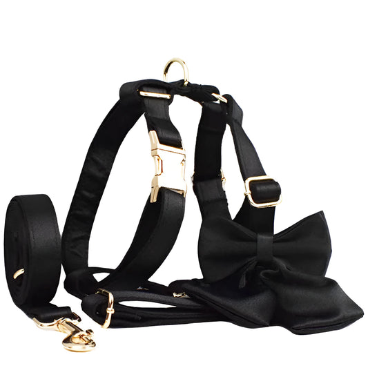 Complete dog walking set with cloth collar, leash, bow, and vest accessories