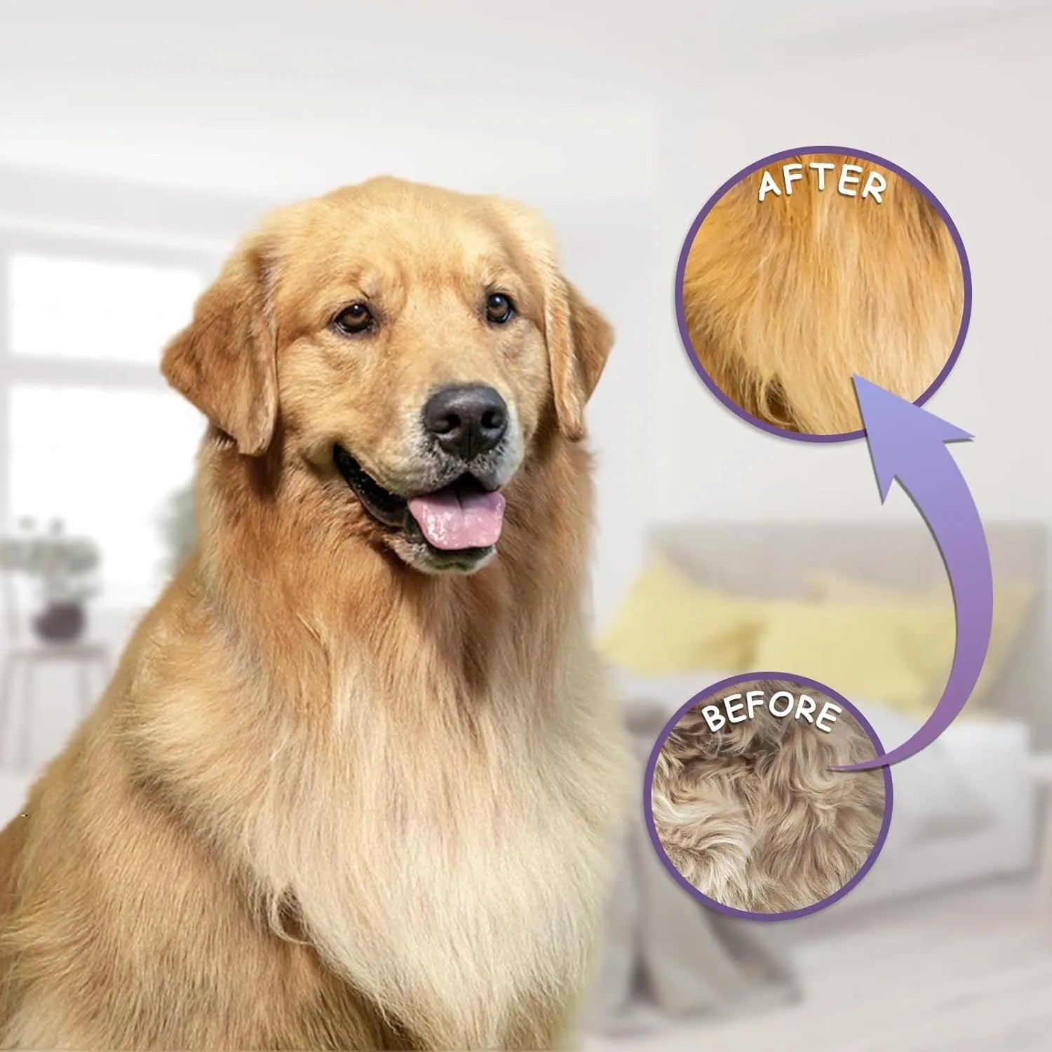Purple detangling pet comb with stainless steel teeth for grooming dogs and cats, showing ergonomic handle.