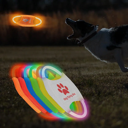 LED glowing dog flying disc in various colors, perfect for night-time play