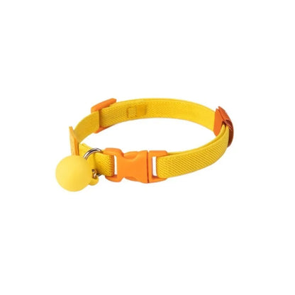 Small dog wearing elastic polyester collar in sky blue colour, showing stretch fit around neck