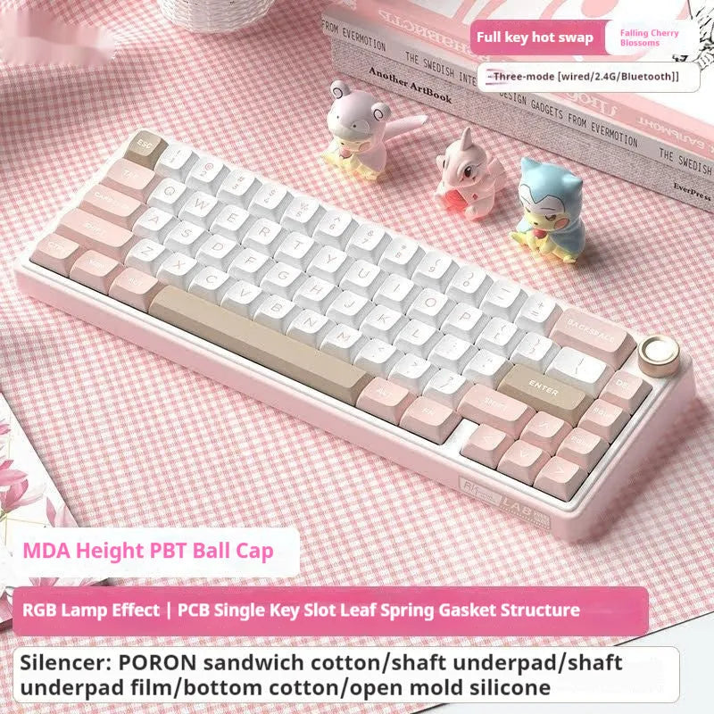 Wireless mechanical keyboard with RGB lighting in multiple colour options