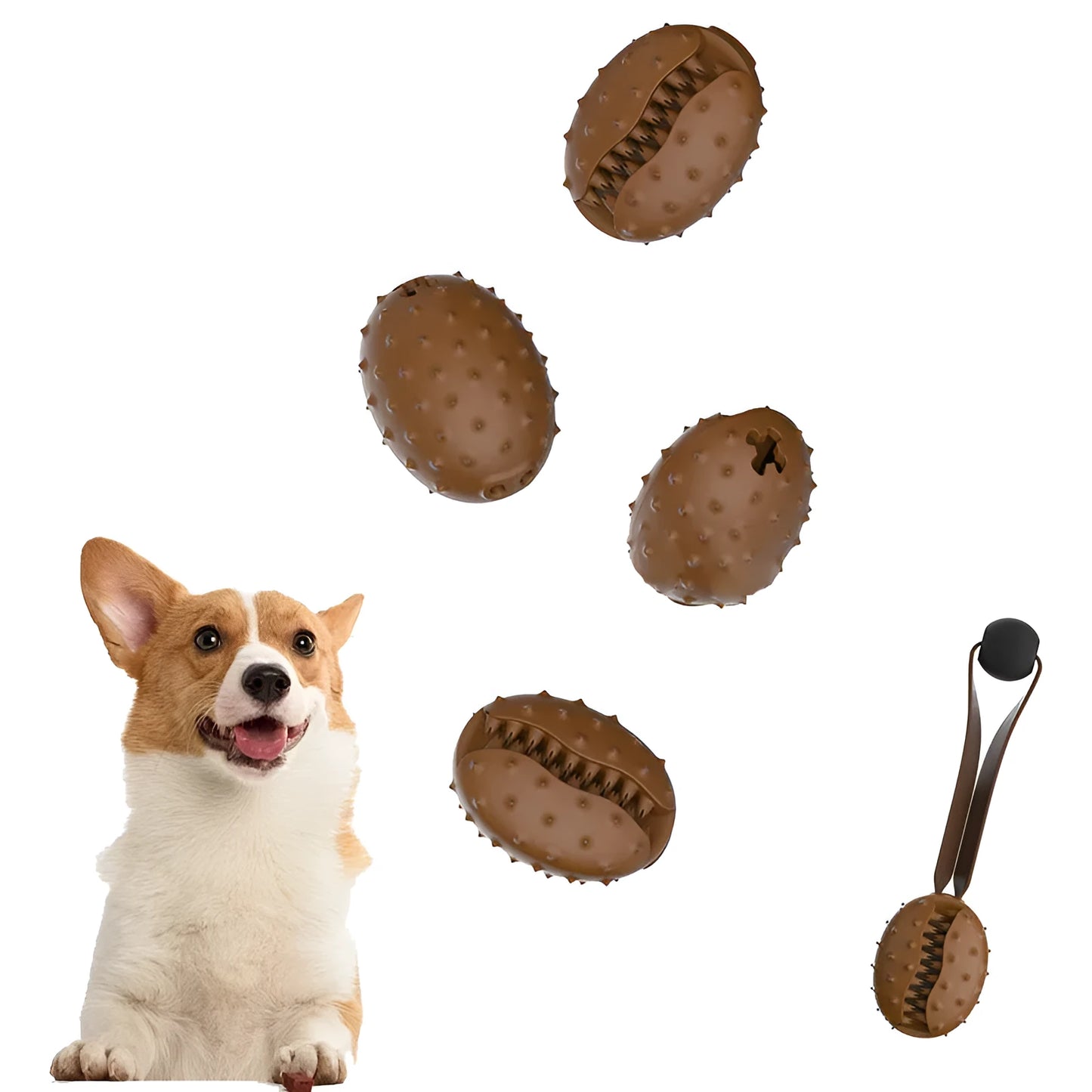 Coffee bean shaped brown TPR rubber dog chew toy with a white knotted rope attached.