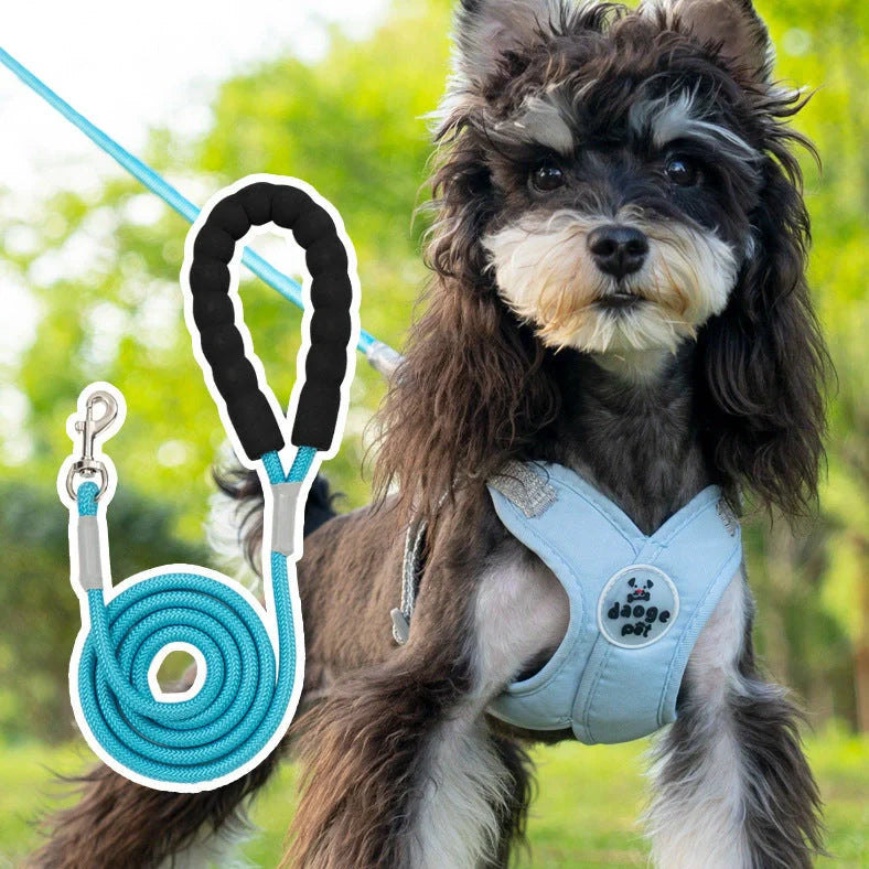 Adjustable pet vest with hand holding rope in blue, green, pink, or yellow colours