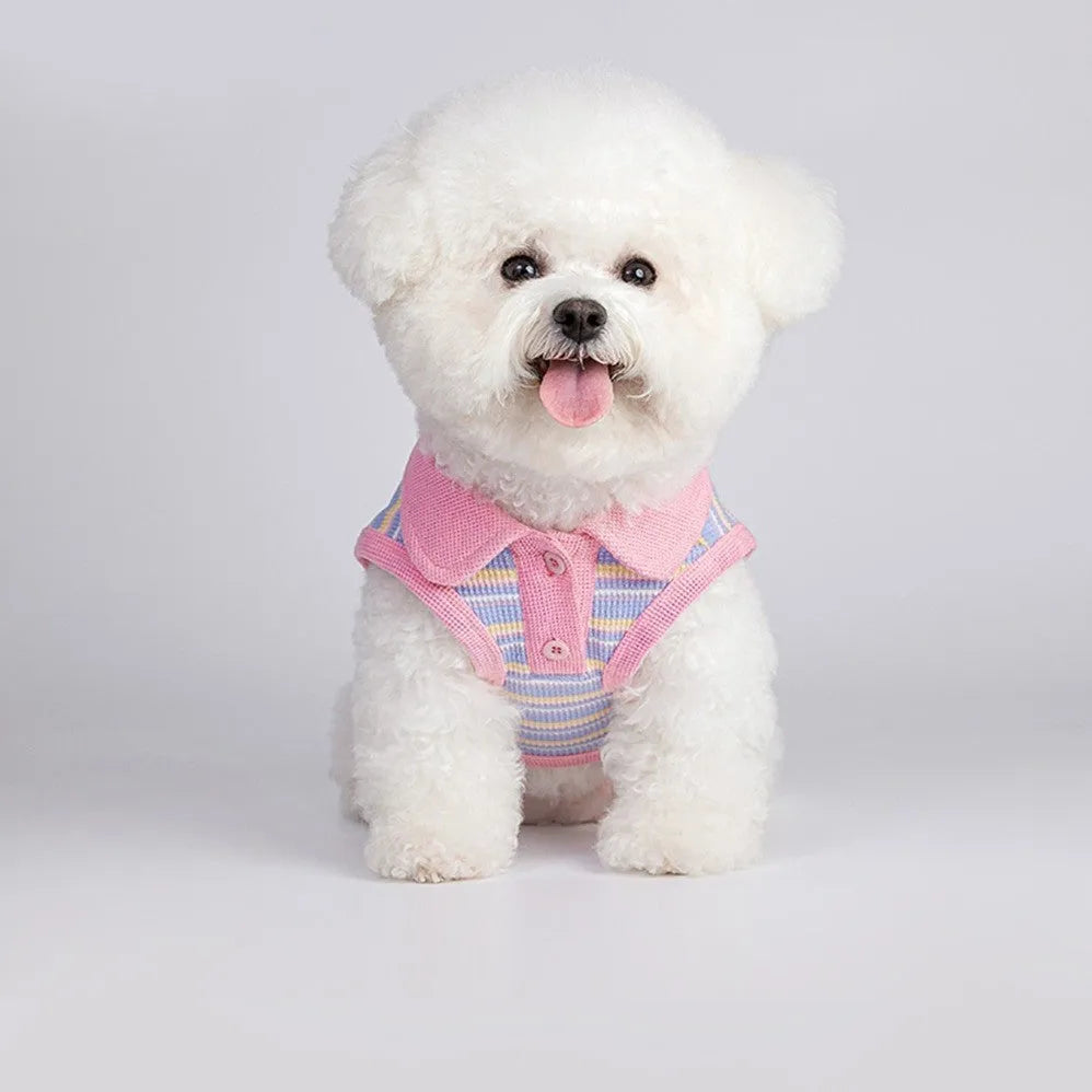 Pink purple vest for small dogs with weight-based sizing from XXS to XXL for autumn weather
