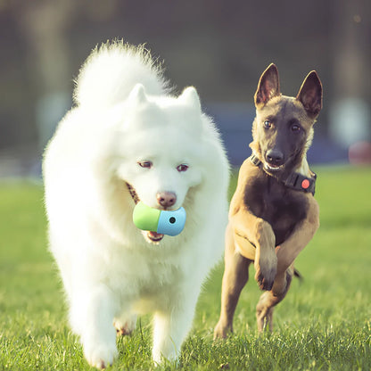 Yellow and blue silicone dog toy ball with treat opening for medium to large breed dogs