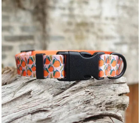 Flower pattern nylon pet collar in blue with size options for dogs and cats