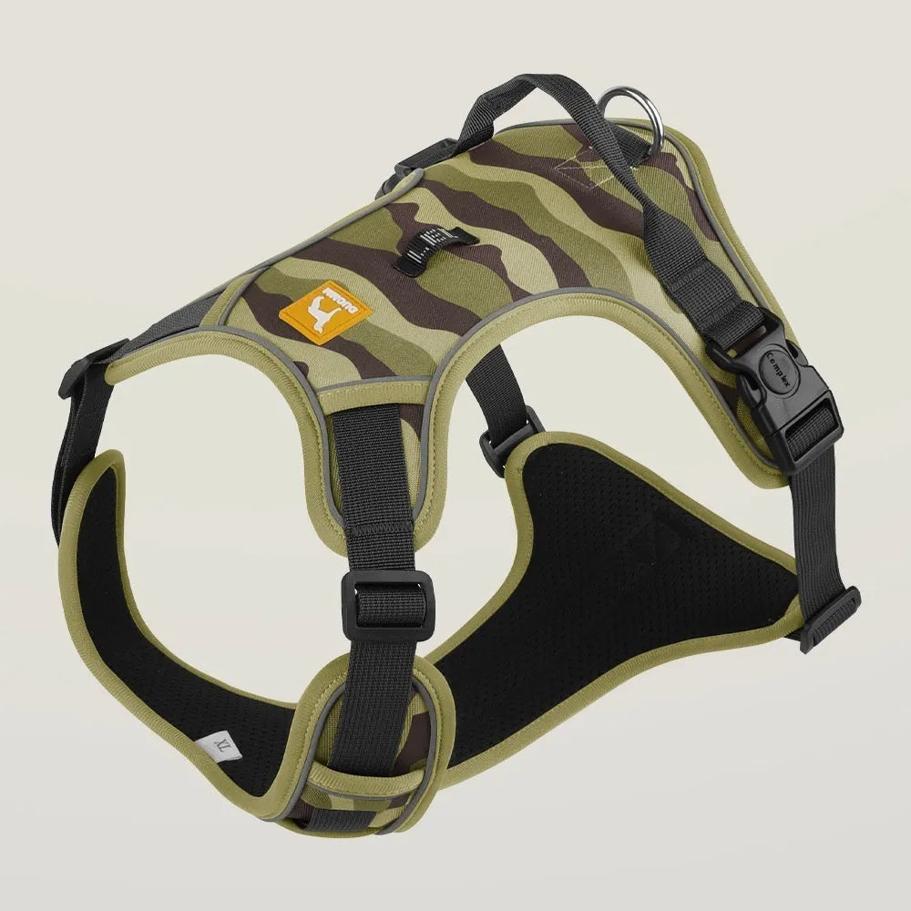 Orange dog harness with reflective strips and hand holding rope on a grassy background