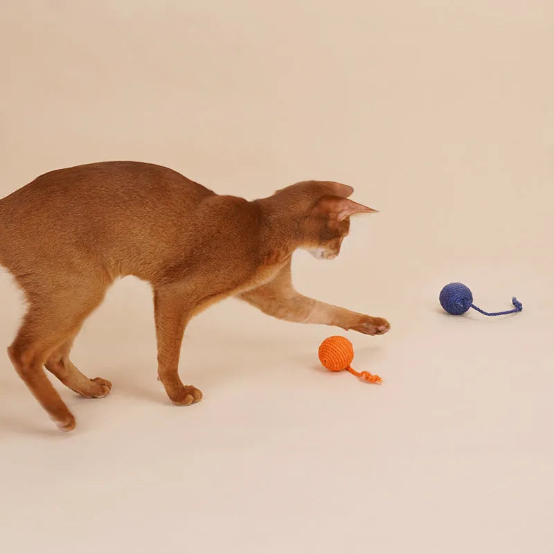 Cat toy set with bite-resistant catnip ball, cat teaser stick for kittens and adult cats, interactive self-play toy measuring 255 mm by 105 mm, weighs 80 g in assorted colour options