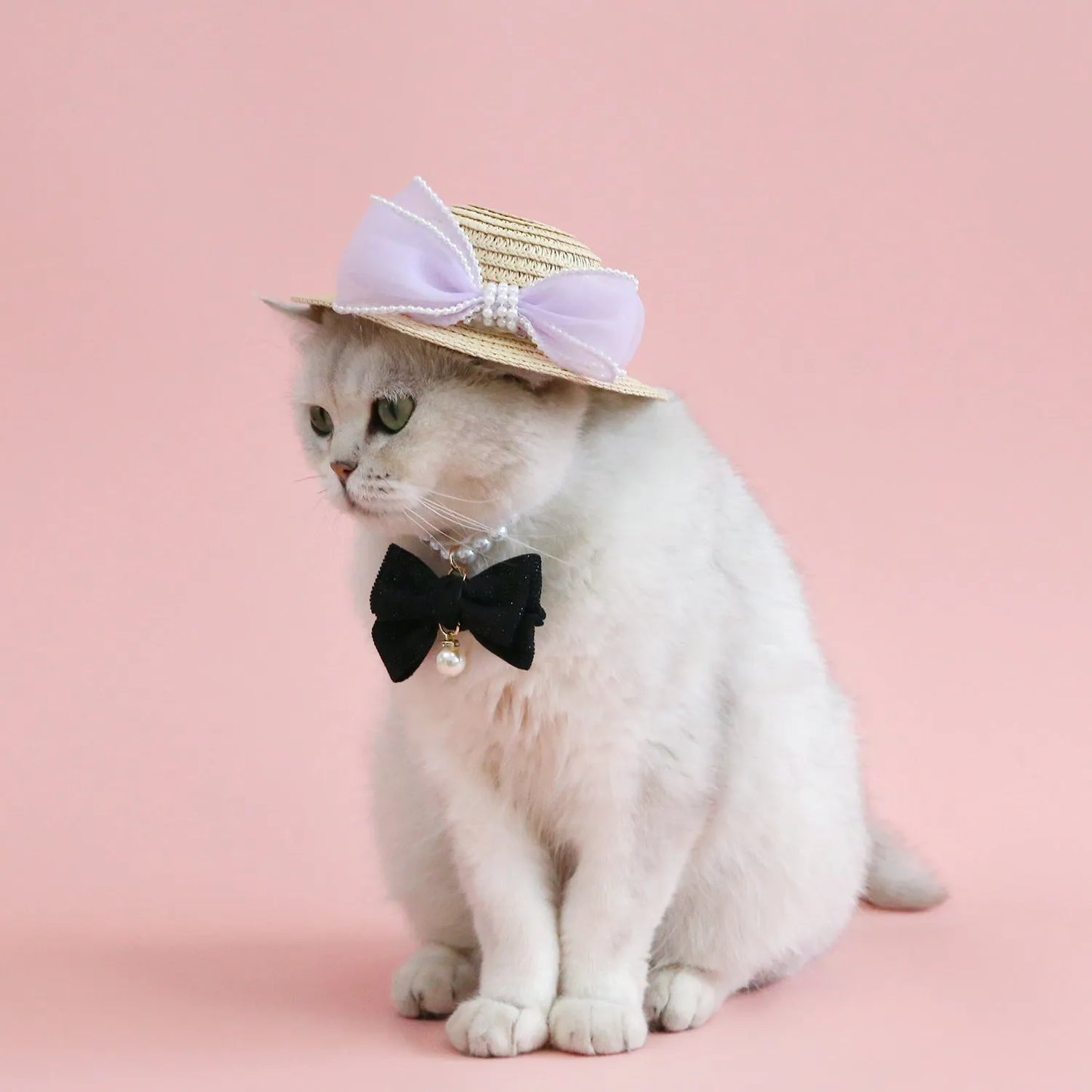 A woven Lafite leaf hat for cats with a pearl butterfly bow, shown in pink, purple, blue, and white colour options.