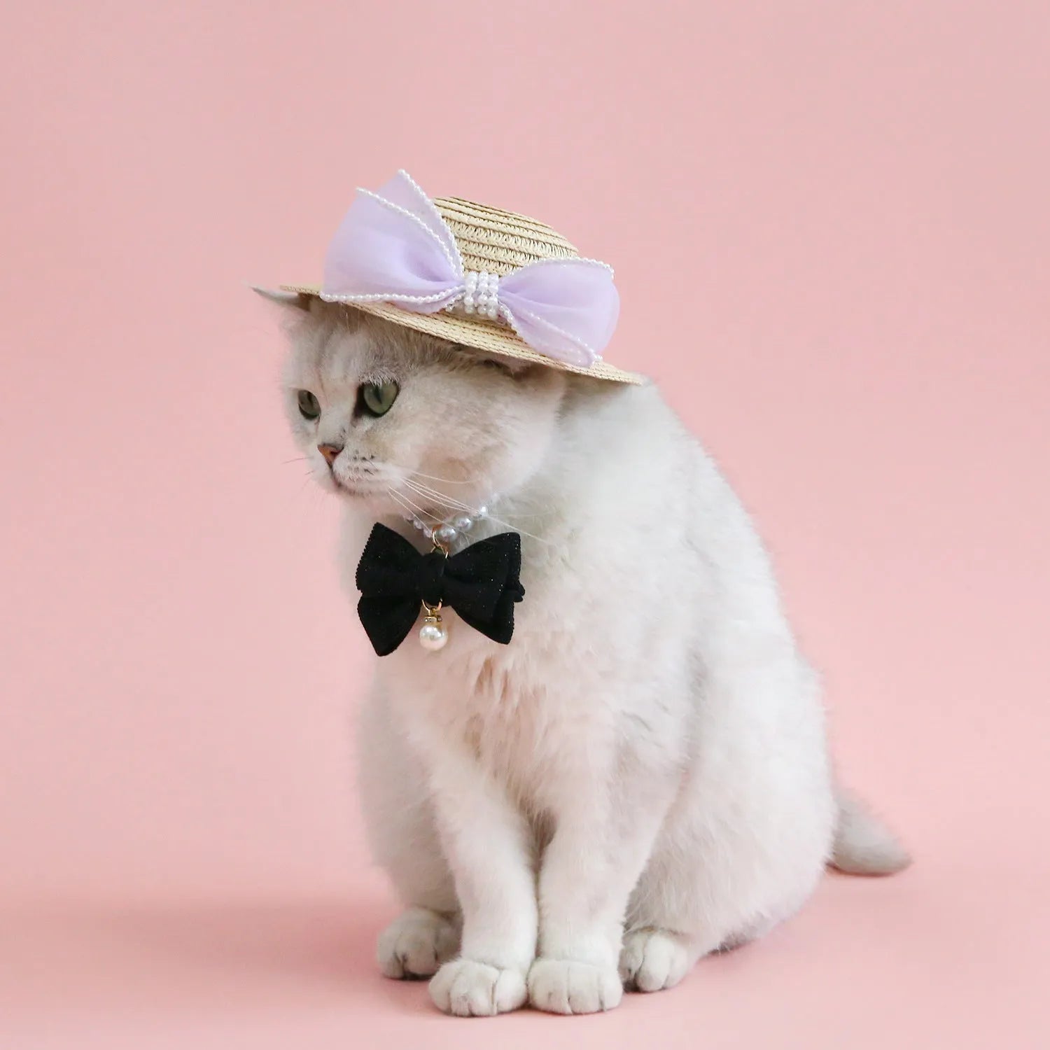 A woven Lafite leaf hat for cats with a pearl butterfly bow, shown in pink, purple, blue, and white colour options.