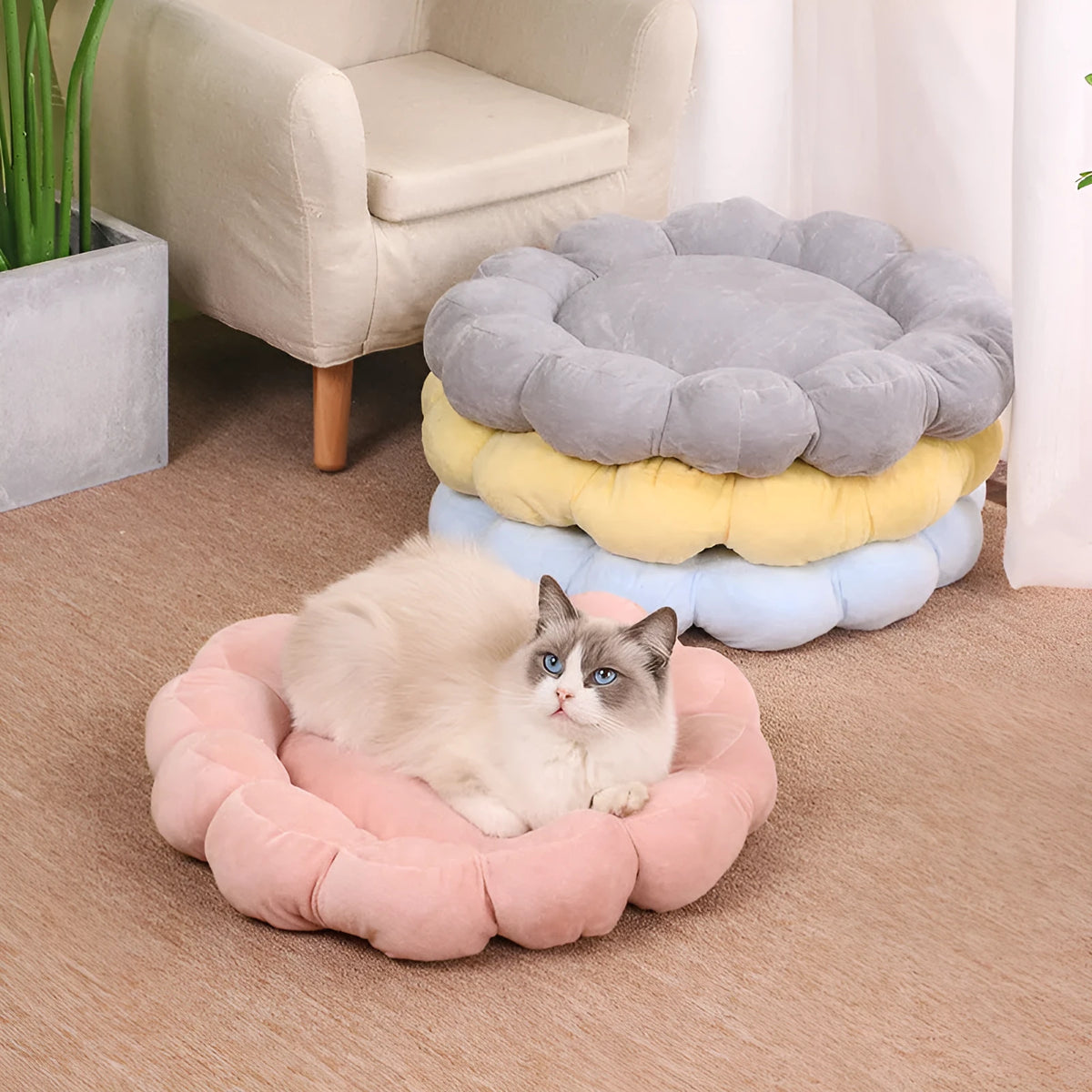 Blue half-surrounded square plush pet bed for dogs and cats on a wooden floor