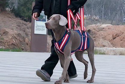 Blue nylon dog harness with adjustable straps and quick-release buckles for elderly pets