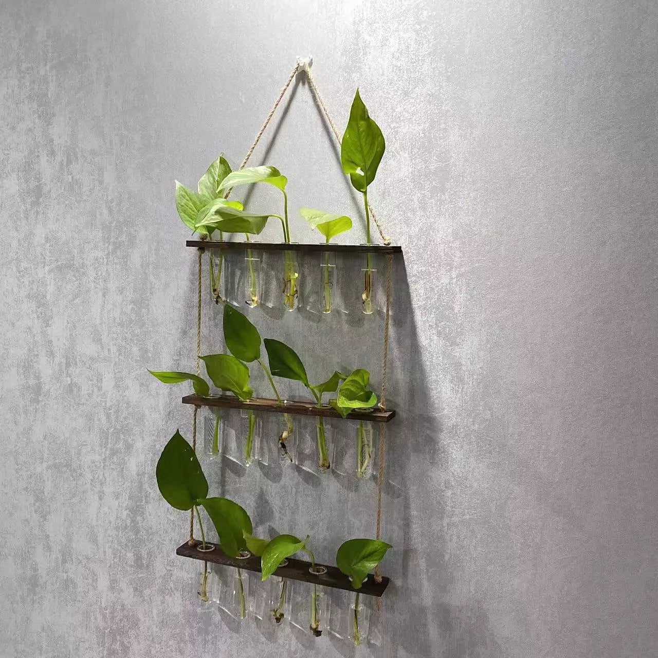 Creative Hydroponics Wall Hanging Vase with test tubes for vertical gardening