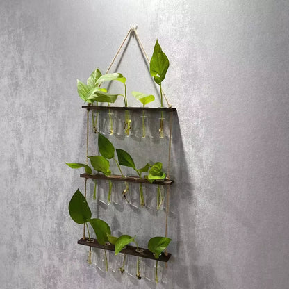 Creative Hydroponics Wall Hanging Vase with test tubes for vertical gardening