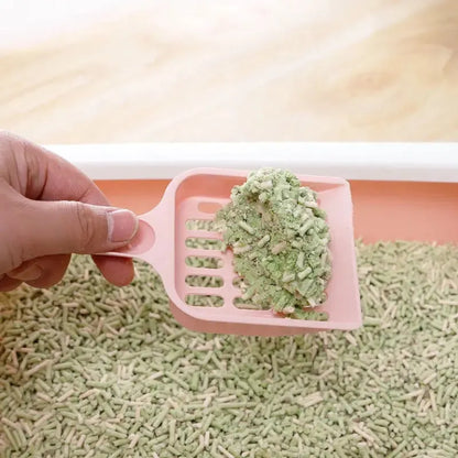 Blue plastic cat litter scoop with dimensions 20cm long by 9cm wide.