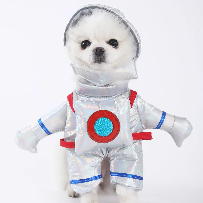Halloween dog costume example in size M, showing the Bat Suit design made from polyester fabric.