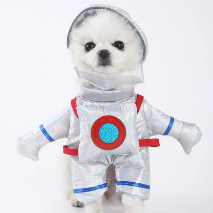 Halloween dog costume example in size M, showing the Bat Suit design made from polyester fabric.