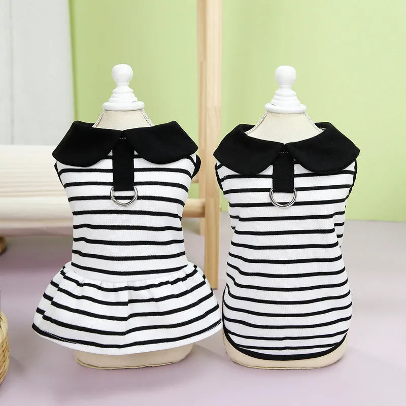 Striped cotton T-shirt and matching skirt for dogs in summer pet clothing set