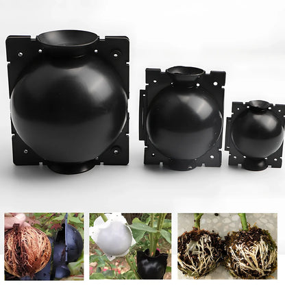 Black PP plastic plant rooting machine box for tree grafting, S size 10cm x 10cm with sealed lid for humidity control