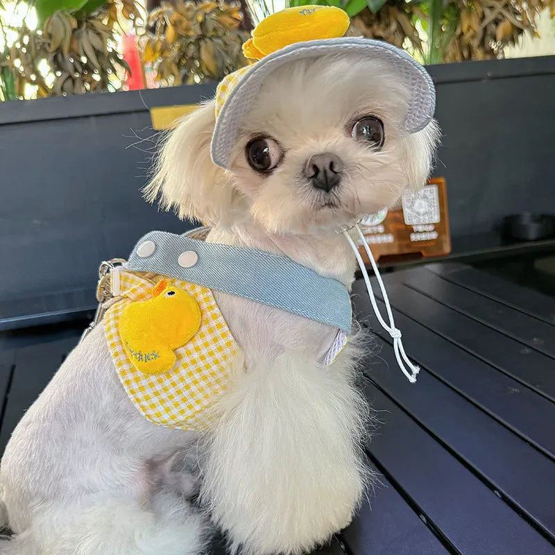 Pet wire rope pulling set with harness leash and cat clothes in four sizes for spring summer outdoor use