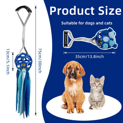 Interactive hollow ball pet toy with TPR sound in five colour options