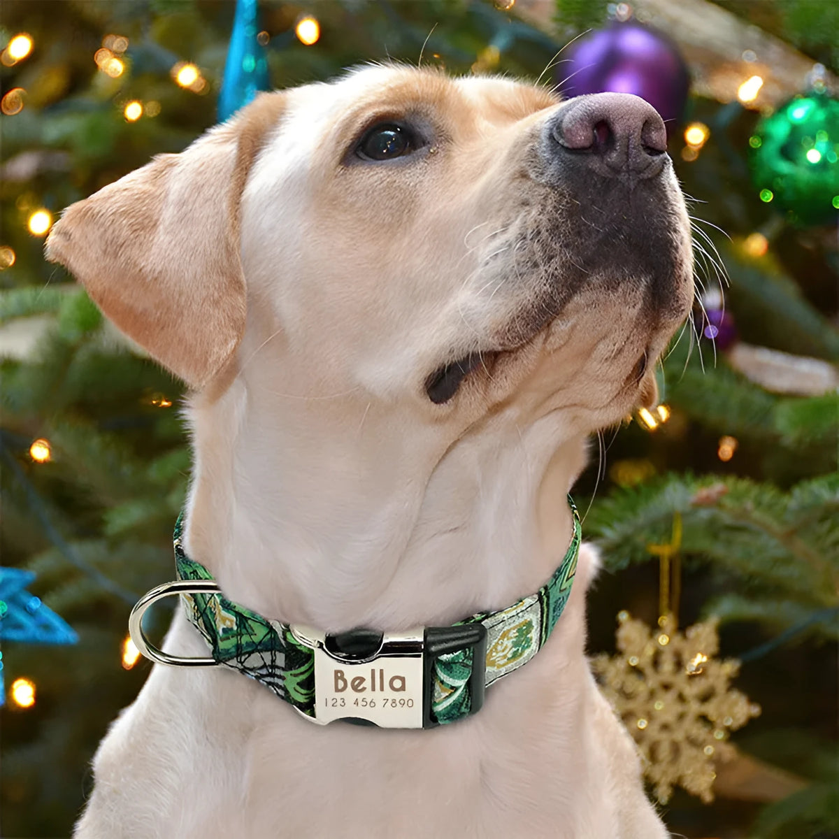 Reflective dog collar in orange or army green with wave point pattern, polyester and alloy metal, adjustable for small to large dogs